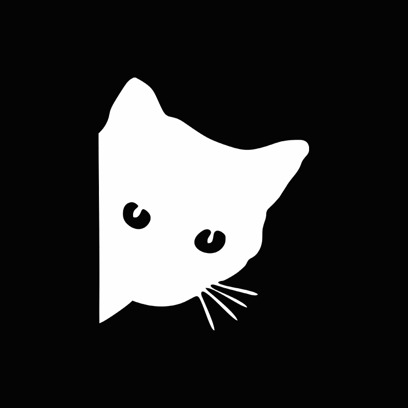 자동차 인테리어 스티커 블랙/화이트/레이저 고양이 스티 - Laser Controller Board 리뷰 및 가격
